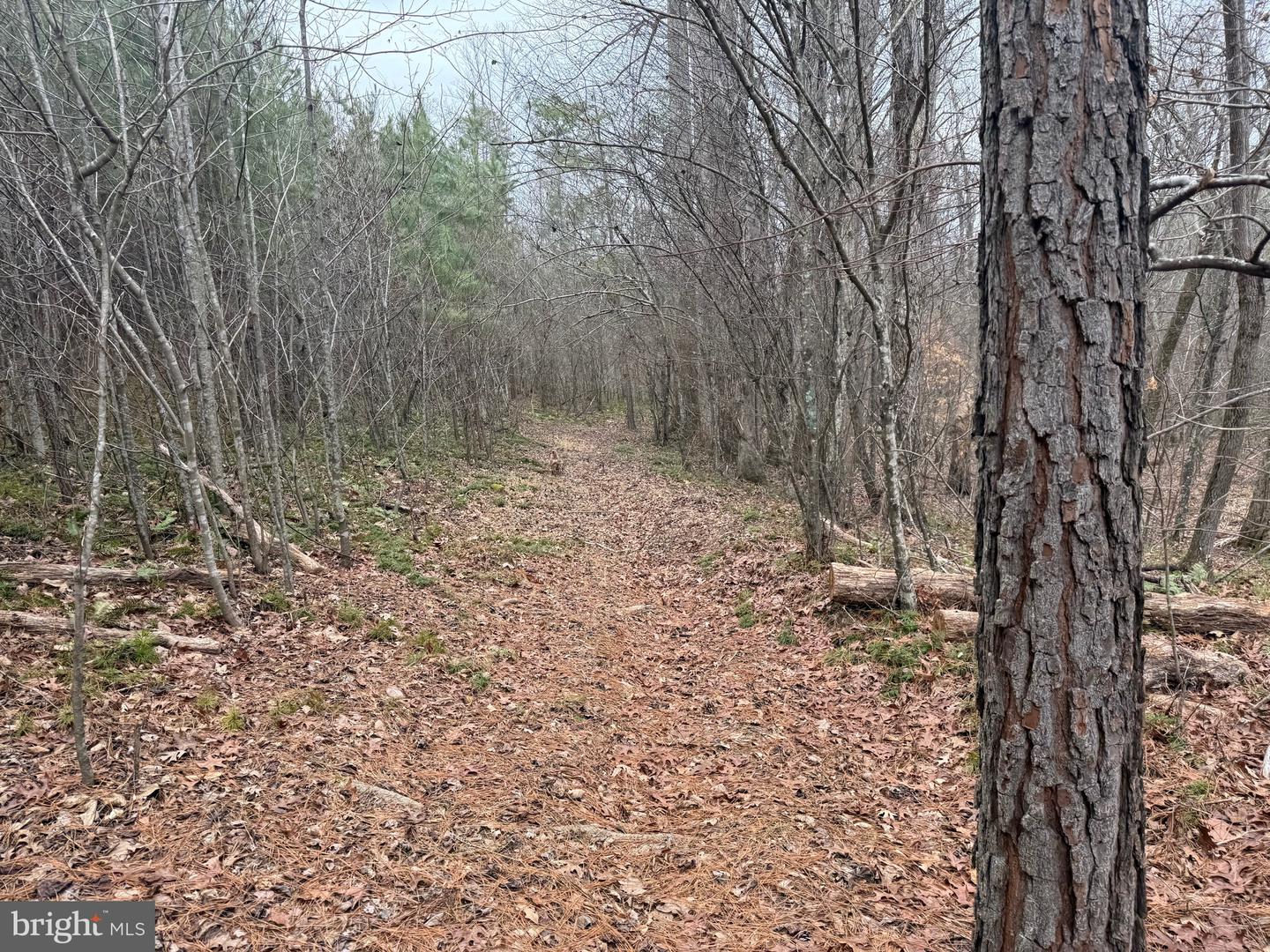 LOT C3 HARDWARE RD, ARVONIA, Virginia 23004, ,Land,For sale,LOT C3 HARDWARE RD,VABH2000254 MLS # VABH2000254 LOT C3 HARDWARE RD, ARVONIA, Virginia 23004, ,Land,For sale,LOT C3 HARDWARE RD,VABH2000254 MLS # VABH2000254