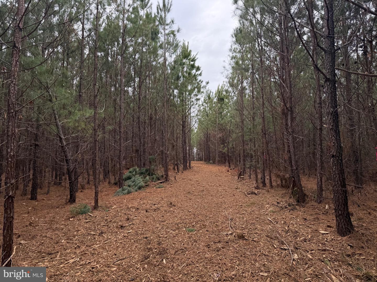 LOT C3 HARDWARE RD, ARVONIA, Virginia 23004, ,Land,For sale,LOT C3 HARDWARE RD,VABH2000254 MLS # VABH2000254 LOT C3 HARDWARE RD, ARVONIA, Virginia 23004, ,Land,For sale,LOT C3 HARDWARE RD,VABH2000254 MLS # VABH2000254