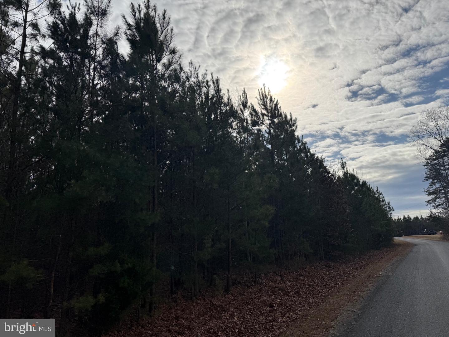 LOT C3 HARDWARE RD, ARVONIA, Virginia 23004, ,Land,For sale,LOT C3 HARDWARE RD,VABH2000254 MLS # VABH2000254 LOT C3 HARDWARE RD, ARVONIA, Virginia 23004, ,Land,For sale,LOT C3 HARDWARE RD,VABH2000254 MLS # VABH2000254