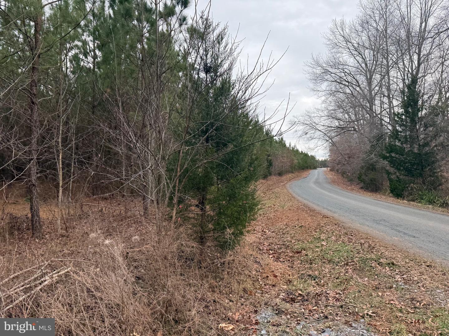 LOT C3 HARDWARE RD, ARVONIA, Virginia 23004, ,Land,For sale,LOT C3 HARDWARE RD,VABH2000254 MLS # VABH2000254 LOT C3 HARDWARE RD, ARVONIA, Virginia 23004, ,Land,For sale,LOT C3 HARDWARE RD,VABH2000254 MLS # VABH2000254