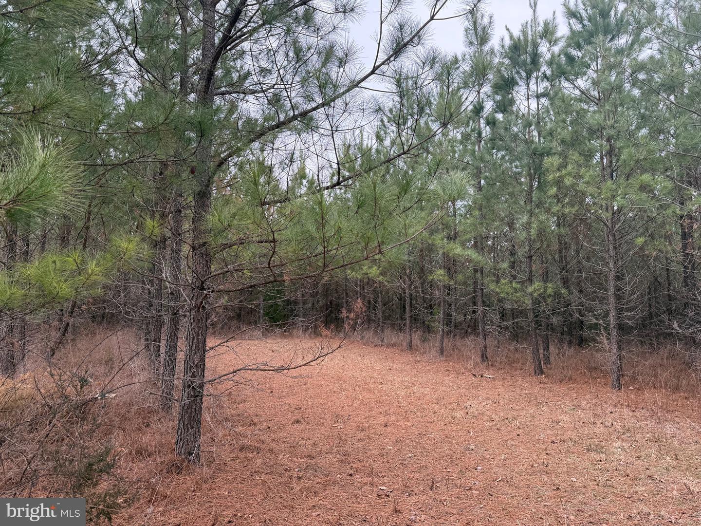LOT C3 HARDWARE RD, ARVONIA, Virginia 23004, ,Land,For sale,LOT C3 HARDWARE RD,VABH2000254 MLS # VABH2000254 LOT C3 HARDWARE RD, ARVONIA, Virginia 23004, ,Land,For sale,LOT C3 HARDWARE RD,VABH2000254 MLS # VABH2000254