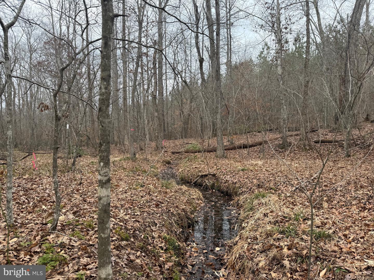 LOT C3 HARDWARE RD, ARVONIA, Virginia 23004, ,Land,For sale,LOT C3 HARDWARE RD,VABH2000254 MLS # VABH2000254 LOT C3 HARDWARE RD, ARVONIA, Virginia 23004, ,Land,For sale,LOT C3 HARDWARE RD,VABH2000254 MLS # VABH2000254