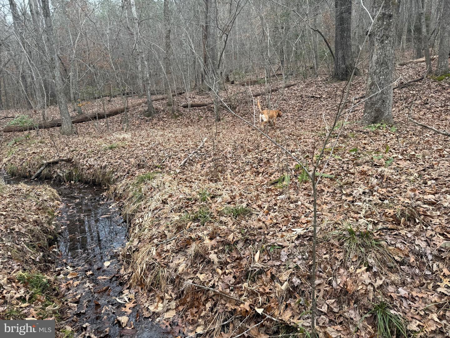 LOT C3 HARDWARE RD, ARVONIA, Virginia 23004, ,Land,For sale,LOT C3 HARDWARE RD,VABH2000254 MLS # VABH2000254 LOT C3 HARDWARE RD, ARVONIA, Virginia 23004, ,Land,For sale,LOT C3 HARDWARE RD,VABH2000254 MLS # VABH2000254