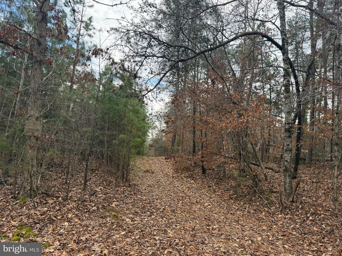 LOT C1 HARDWARE RD, ARVONIA, Virginia 23004, ,Land,For sale,LOT C1 HARDWARE RD,VABH2000256 MLS # VABH2000256