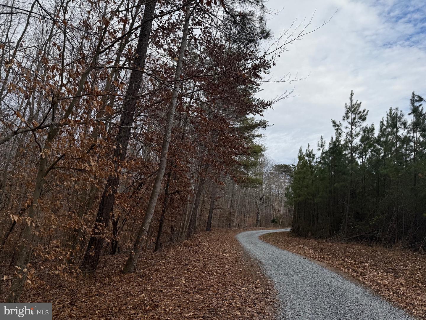 LOT C1 HARDWARE RD, ARVONIA, Virginia 23004, ,Land,For sale,LOT C1 HARDWARE RD,VABH2000256 MLS # VABH2000256