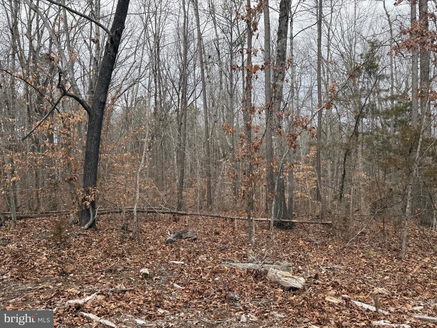 LOT C1 HARDWARE RD, ARVONIA, Virginia 23004, ,Land,For sale,LOT C1 HARDWARE RD,VABH2000256 MLS # VABH2000256