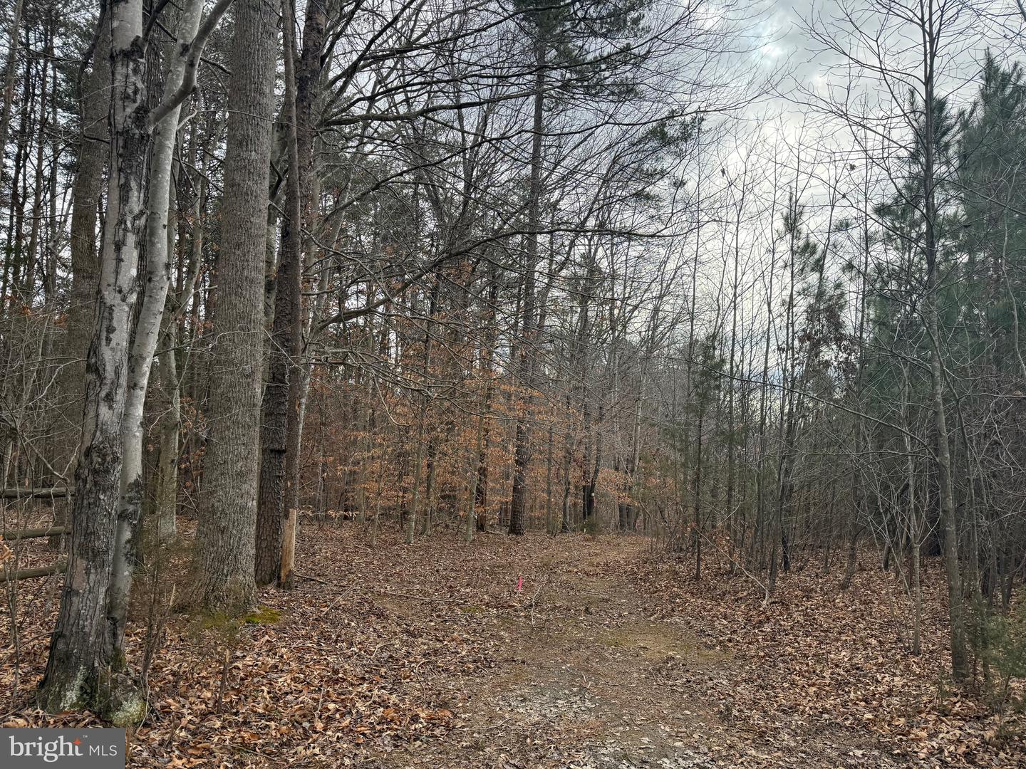 LOT C1 HARDWARE RD, ARVONIA, Virginia 23004, ,Land,For sale,LOT C1 HARDWARE RD,VABH2000256 MLS # VABH2000256