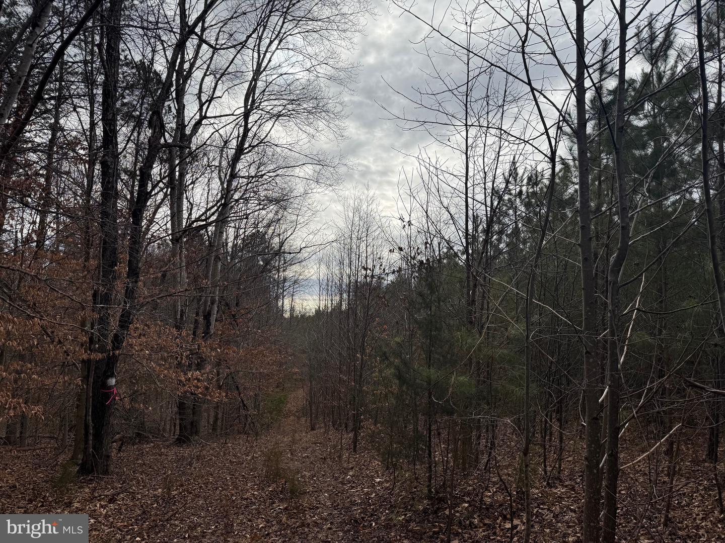 LOT C1 HARDWARE RD, ARVONIA, Virginia 23004, ,Land,For sale,LOT C1 HARDWARE RD,VABH2000256 MLS # VABH2000256