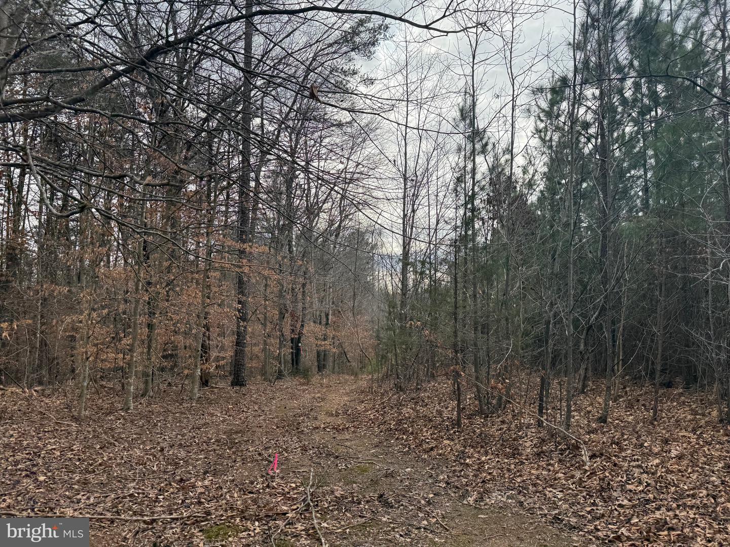 LOT C1 HARDWARE RD, ARVONIA, Virginia 23004, ,Land,For sale,LOT C1 HARDWARE RD,VABH2000256 MLS # VABH2000256