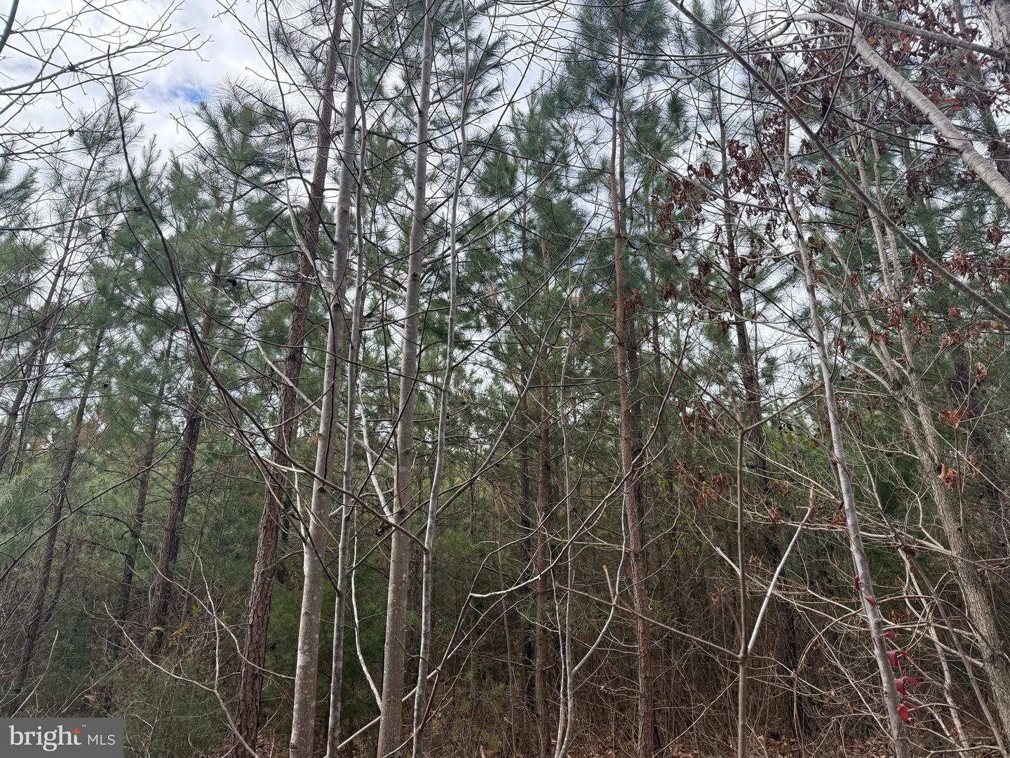 LOT C1 HARDWARE RD, ARVONIA, Virginia 23004, ,Land,For sale,LOT C1 HARDWARE RD,VABH2000256 MLS # VABH2000256