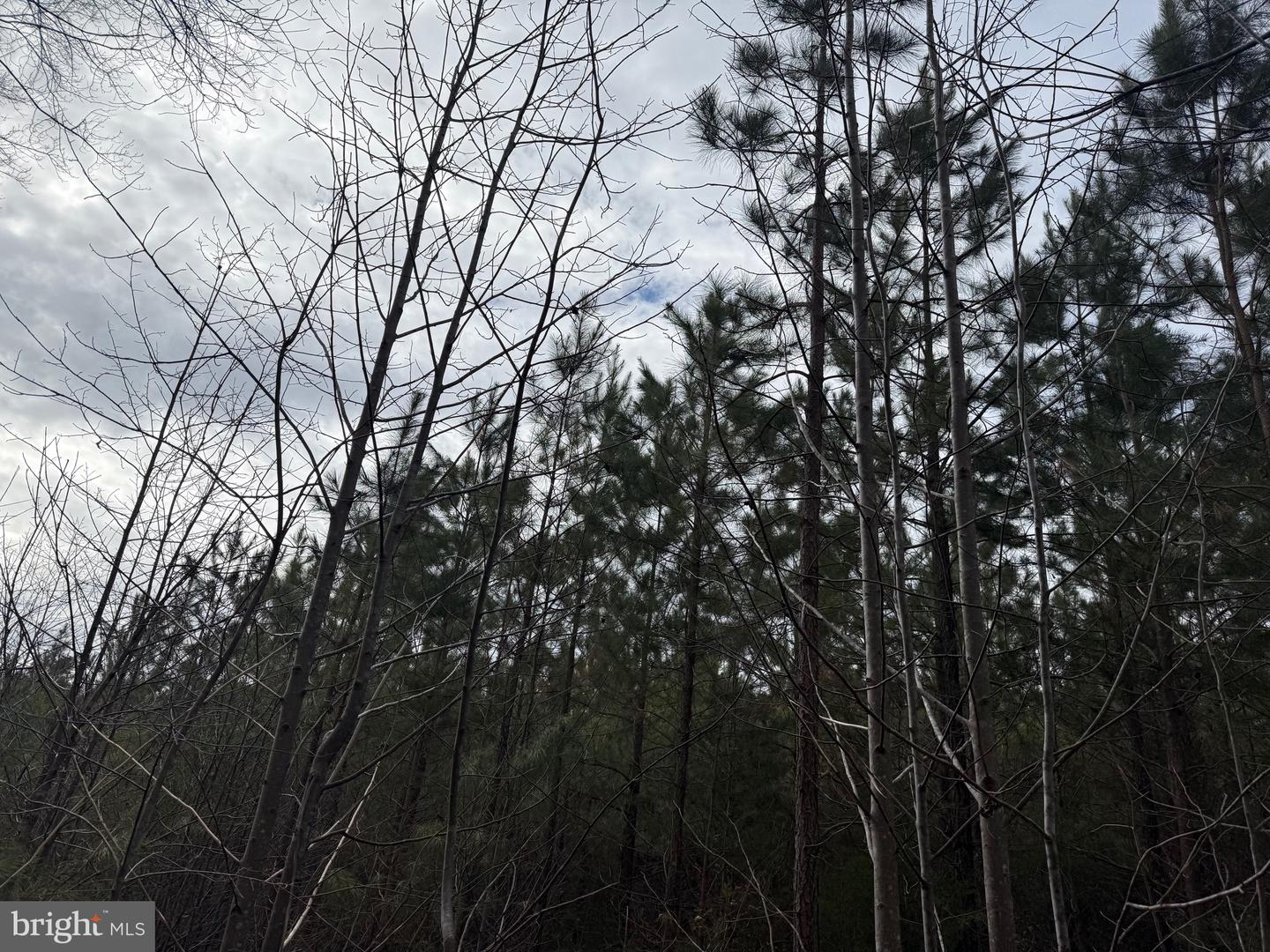 LOT C1 HARDWARE RD, ARVONIA, Virginia 23004, ,Land,For sale,LOT C1 HARDWARE RD,VABH2000256 MLS # VABH2000256