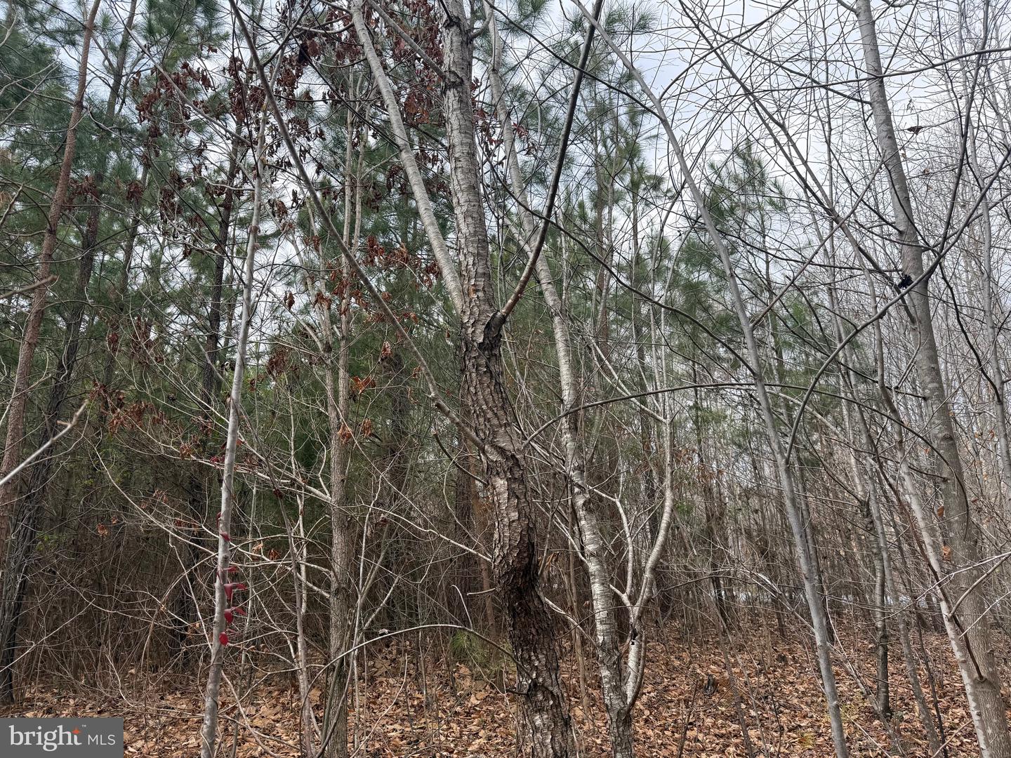 LOT C1 HARDWARE RD, ARVONIA, Virginia 23004, ,Land,For sale,LOT C1 HARDWARE RD,VABH2000256 MLS # VABH2000256