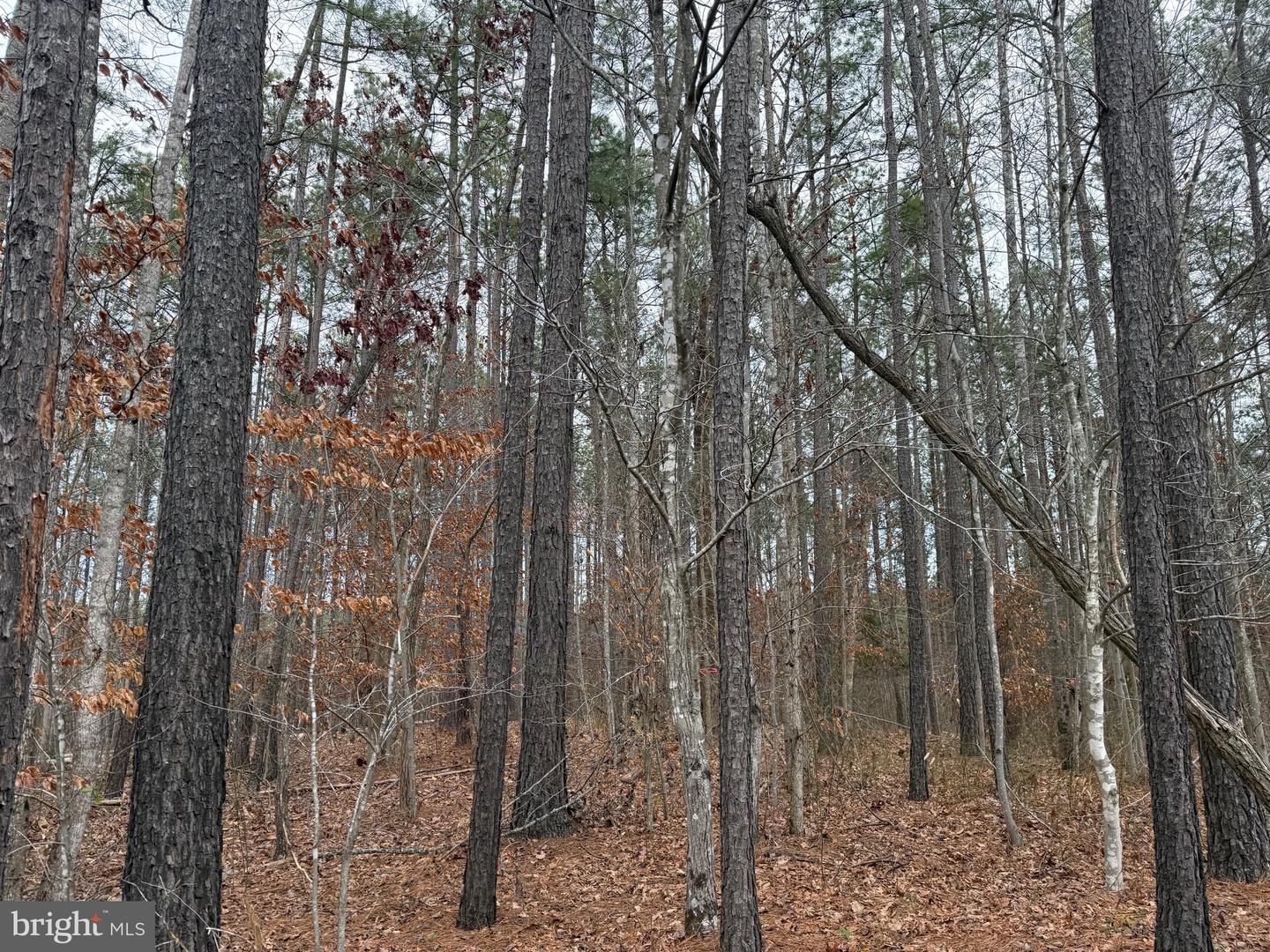 LOT C1 HARDWARE RD, ARVONIA, Virginia 23004, ,Land,For sale,LOT C1 HARDWARE RD,VABH2000256 MLS # VABH2000256