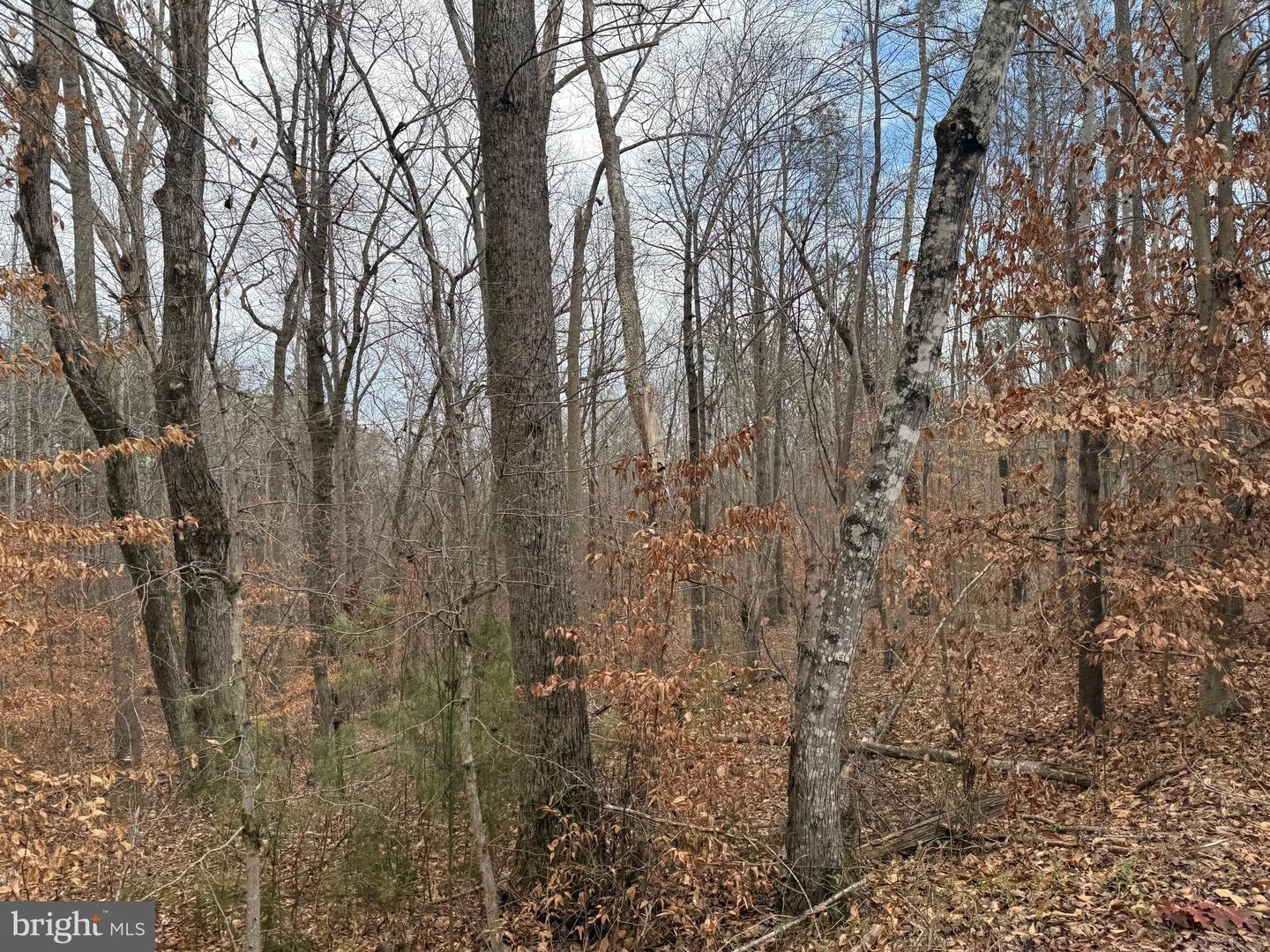 LOT C1 HARDWARE RD, ARVONIA, Virginia 23004, ,Land,For sale,LOT C1 HARDWARE RD,VABH2000256 MLS # VABH2000256