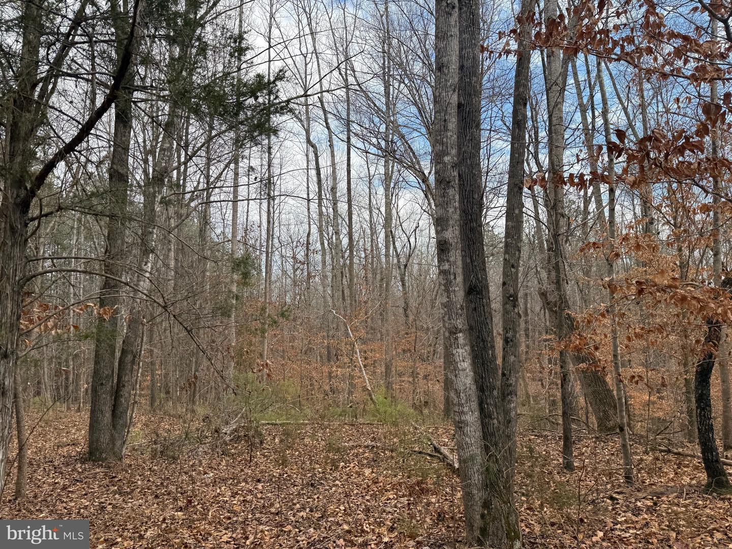 LOT C1 HARDWARE RD, ARVONIA, Virginia 23004, ,Land,For sale,LOT C1 HARDWARE RD,VABH2000256 MLS # VABH2000256