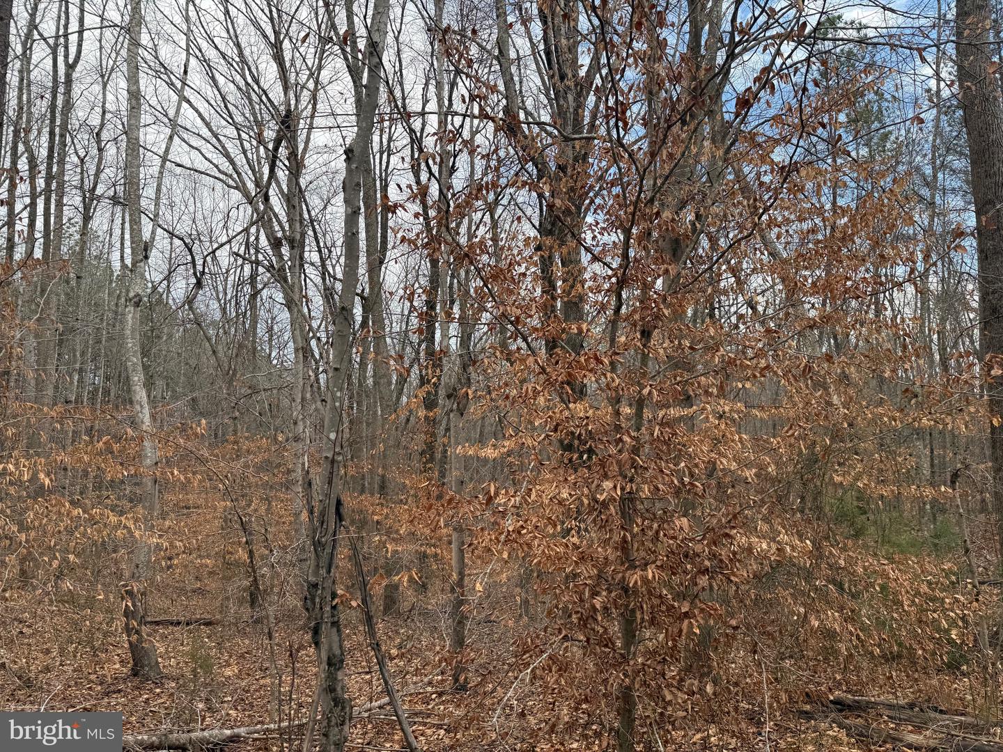 LOT C1 HARDWARE RD, ARVONIA, Virginia 23004, ,Land,For sale,LOT C1 HARDWARE RD,VABH2000256 MLS # VABH2000256