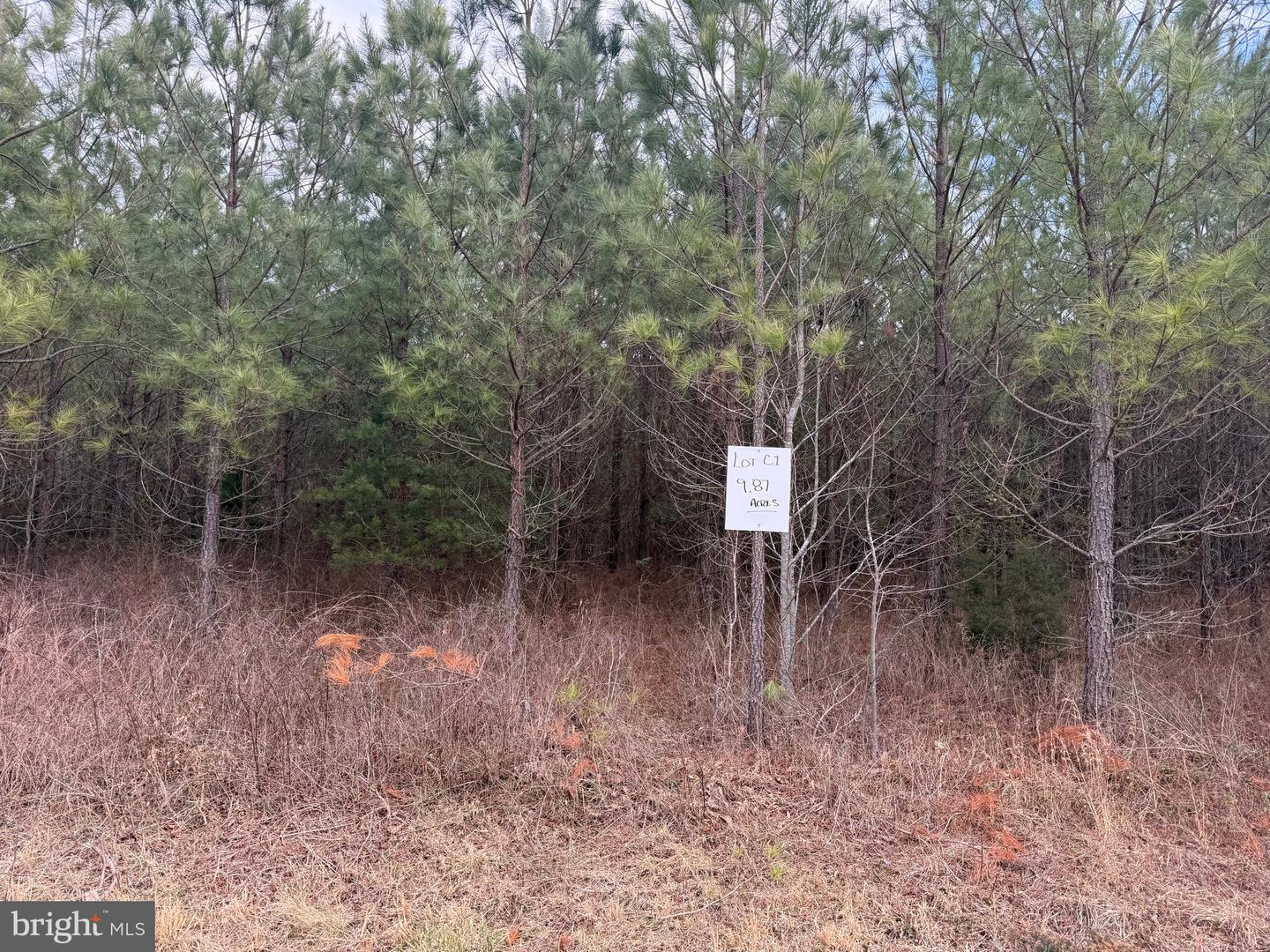 LOT C1 HARDWARE RD, ARVONIA, Virginia 23004, ,Land,For sale,LOT C1 HARDWARE RD,VABH2000256 MLS # VABH2000256