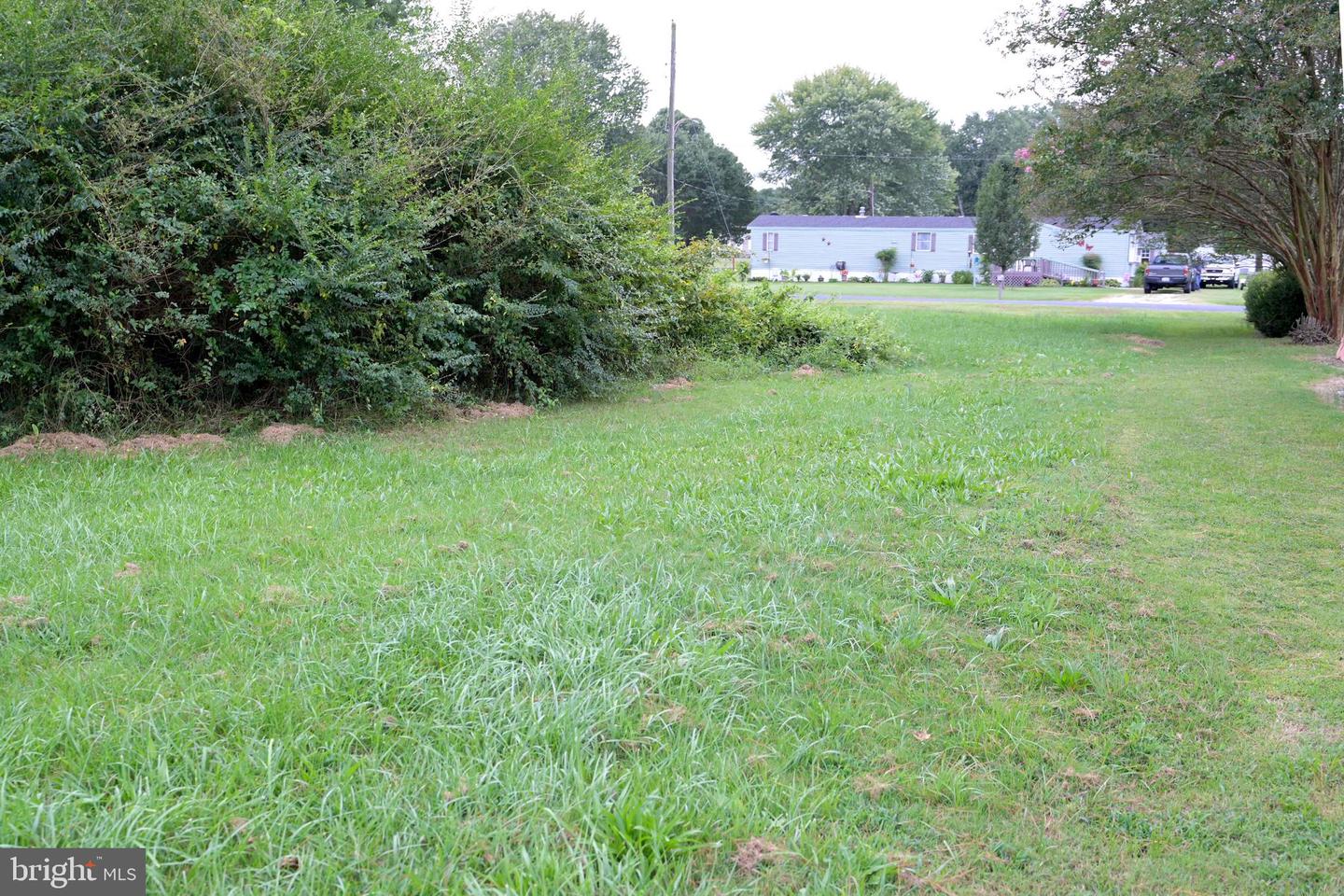 25588 SHORE MAIN DR, BLOXOM, Virginia 23308, 3 Bedrooms Bedrooms, ,2 BathroomsBathrooms,Residential,For sale,25588 SHORE MAIN DR,VAAC2002268 MLS # VAAC2002268