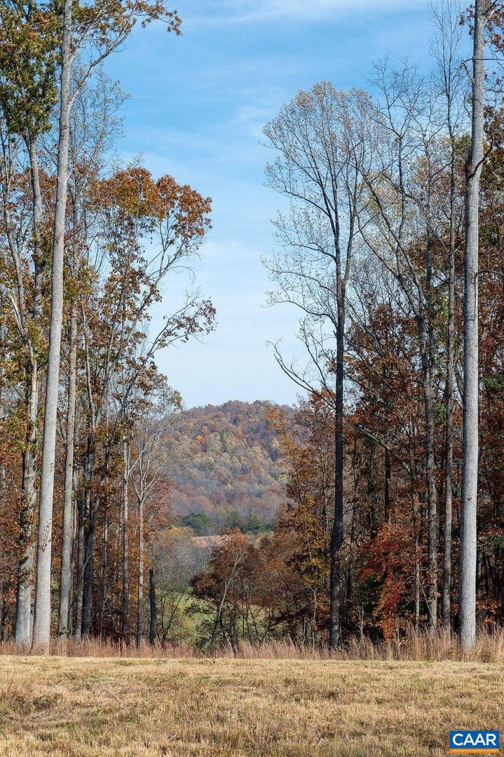 TBD RED HILL RD, CHARLOTTESVILLE, Virginia 22903, ,Land,For sale,TBD RED HILL RD,671146 MLS # 671146