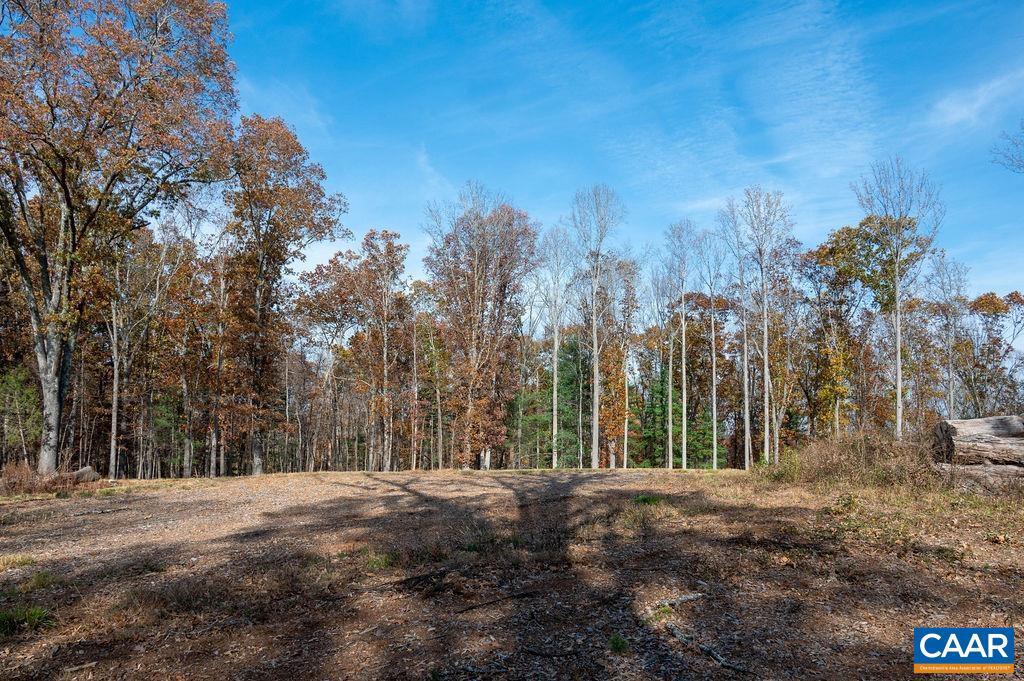 TBD RED HILL RD, CHARLOTTESVILLE, Virginia 22903, ,Land,For sale,TBD RED HILL RD,671146 MLS # 671146