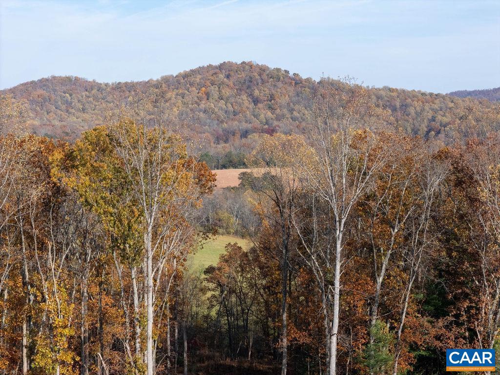 TBD RED HILL RD, CHARLOTTESVILLE, Virginia 22903, ,Land,For sale,TBD RED HILL RD,671146 MLS # 671146