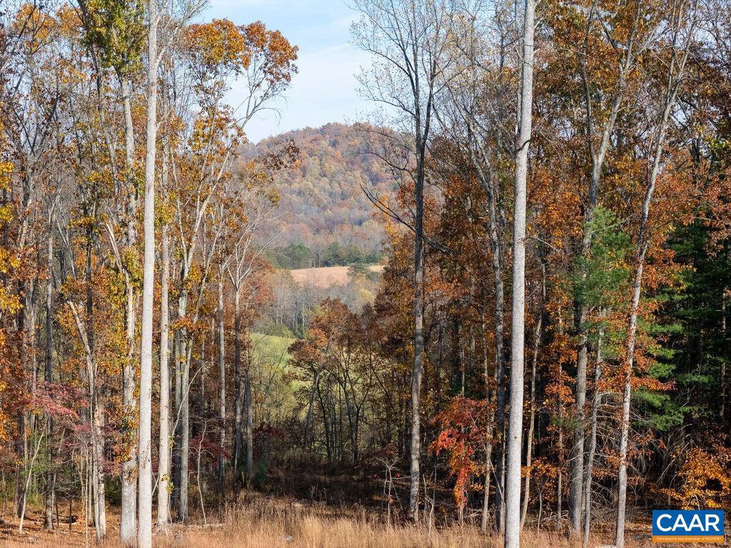 TBD RED HILL RD, CHARLOTTESVILLE, Virginia 22903, ,Land,For sale,TBD RED HILL RD,671146 MLS # 671146