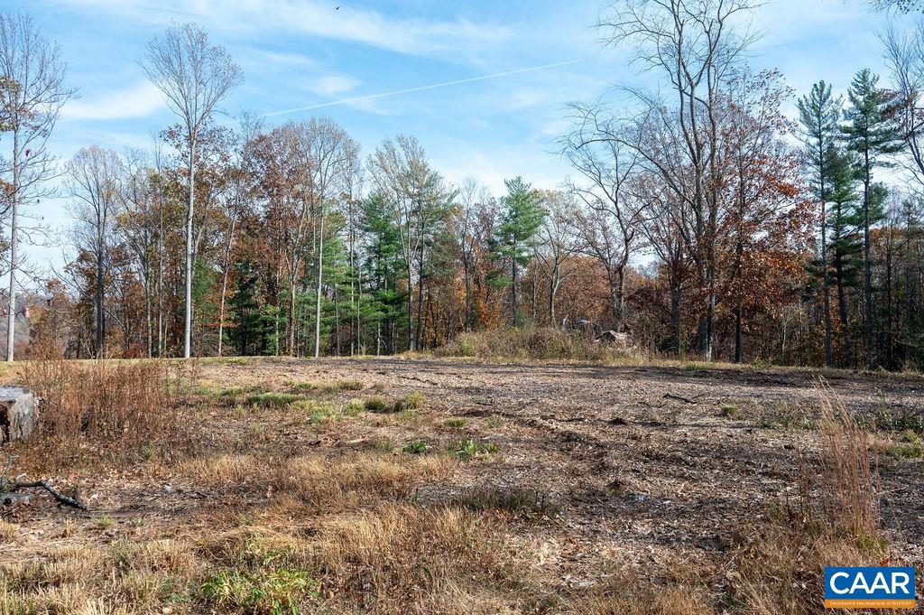 TBD RED HILL RD, CHARLOTTESVILLE, Virginia 22903, ,Land,For sale,TBD RED HILL RD,671146 MLS # 671146
