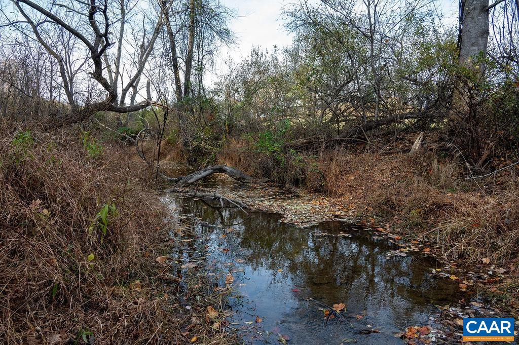 TBD RED HILL RD, CHARLOTTESVILLE, Virginia 22903, ,Land,For sale,TBD RED HILL RD,671146 MLS # 671146