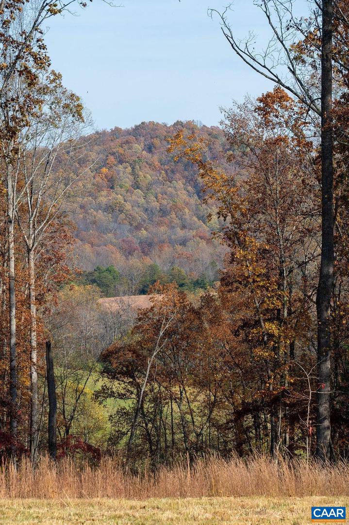 TBD RED HILL RD, CHARLOTTESVILLE, Virginia 22903, ,Land,For sale,TBD RED HILL RD,671146 MLS # 671146