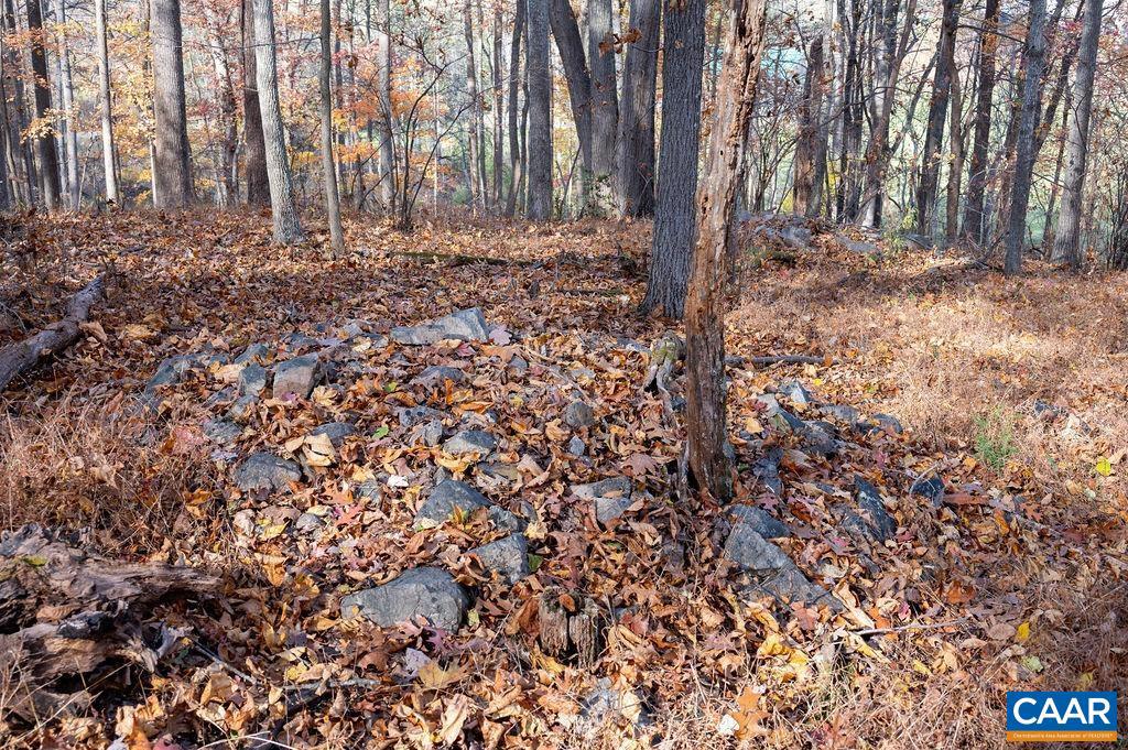 TBD RED HILL RD, CHARLOTTESVILLE, Virginia 22903, ,Land,For sale,TBD RED HILL RD,671146 MLS # 671146