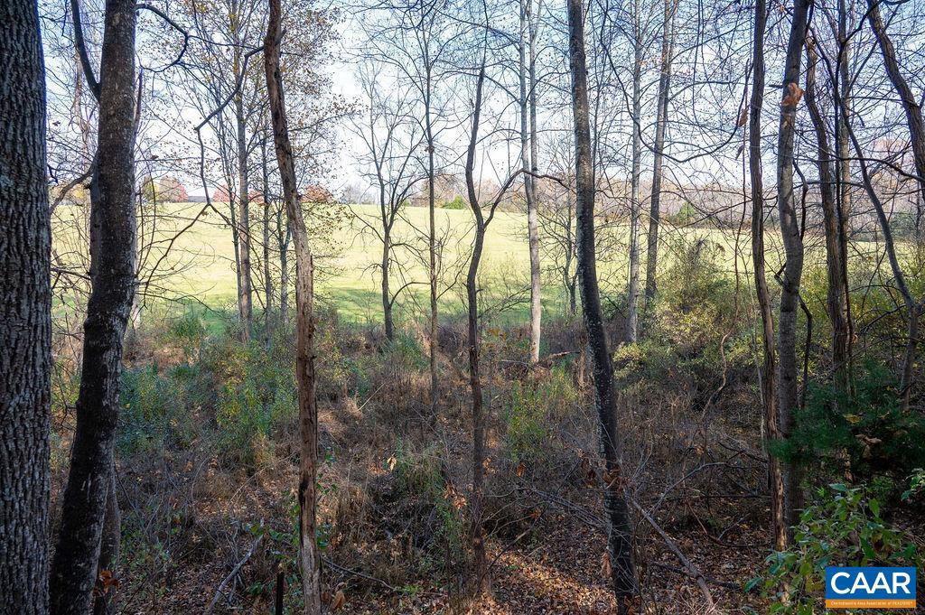 TBD RED HILL RD, CHARLOTTESVILLE, Virginia 22903, ,Land,For sale,TBD RED HILL RD,671146 MLS # 671146