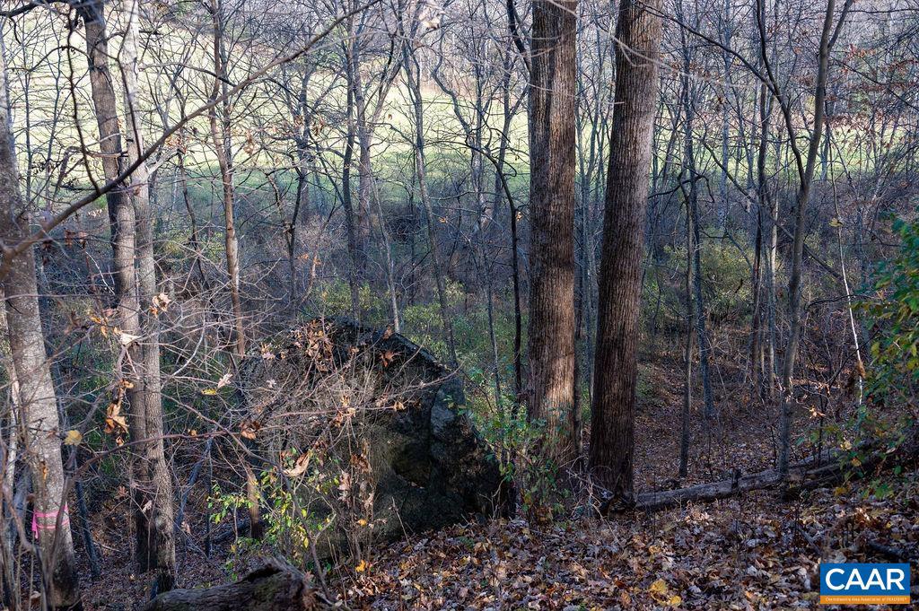 TBD RED HILL RD, CHARLOTTESVILLE, Virginia 22903, ,Land,For sale,TBD RED HILL RD,671146 MLS # 671146