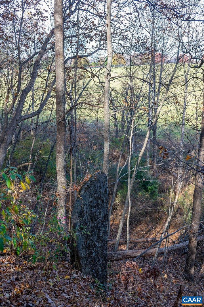 TBD RED HILL RD, CHARLOTTESVILLE, Virginia 22903, ,Land,For sale,TBD RED HILL RD,671146 MLS # 671146