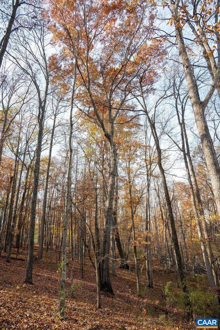 TBD RED HILL RD, CHARLOTTESVILLE, Virginia 22903, ,Land,For sale,TBD RED HILL RD,671146 MLS # 671146