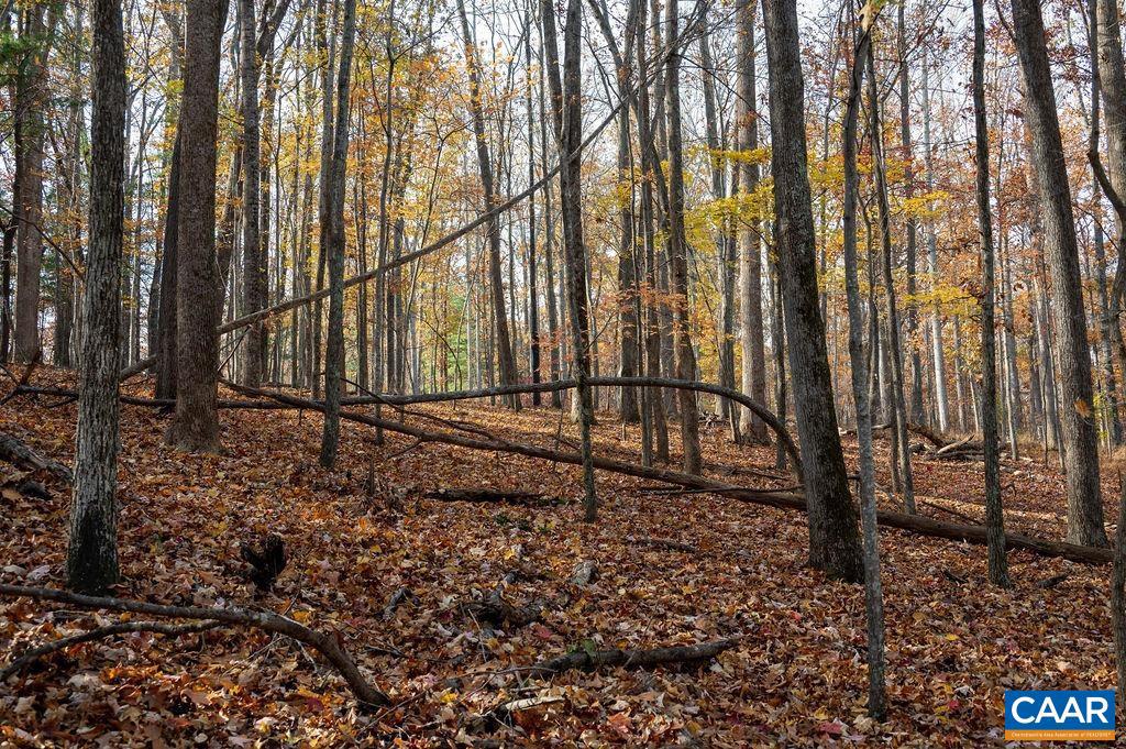 TBD RED HILL RD, CHARLOTTESVILLE, Virginia 22903, ,Land,For sale,TBD RED HILL RD,671146 MLS # 671146