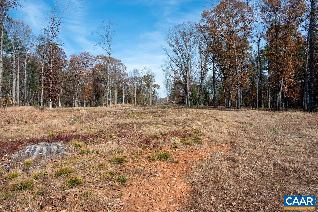 TBD RED HILL RD, CHARLOTTESVILLE, Virginia 22903, ,Land,For sale,TBD RED HILL RD,671146 MLS # 671146