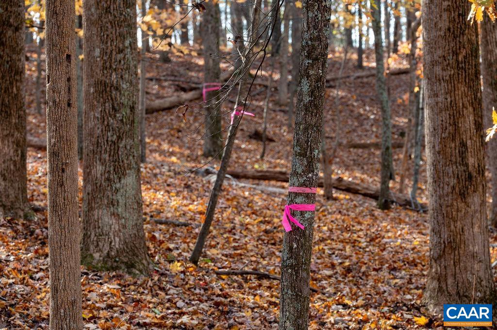 TBD RED HILL RD, CHARLOTTESVILLE, Virginia 22903, ,Land,For sale,TBD RED HILL RD,671146 MLS # 671146