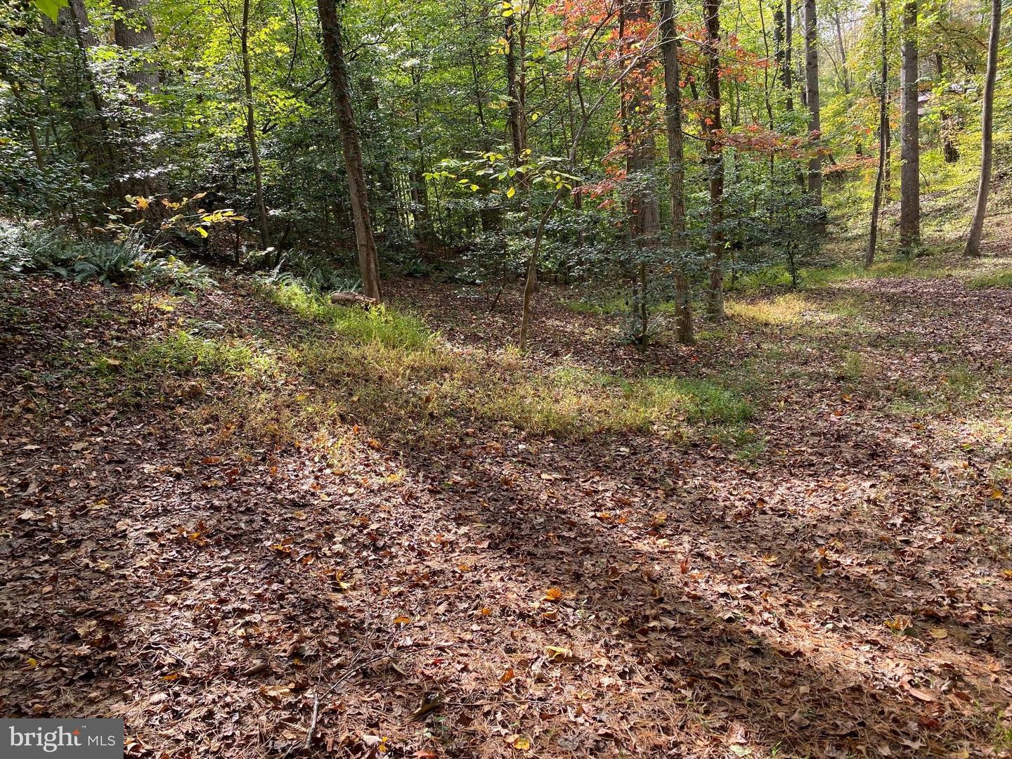 2202 BELVEDERE DR, KING GEORGE, Virginia 22485, ,Land,For sale,2202 BELVEDERE DR,VAKG2007528 MLS # VAKG2007528