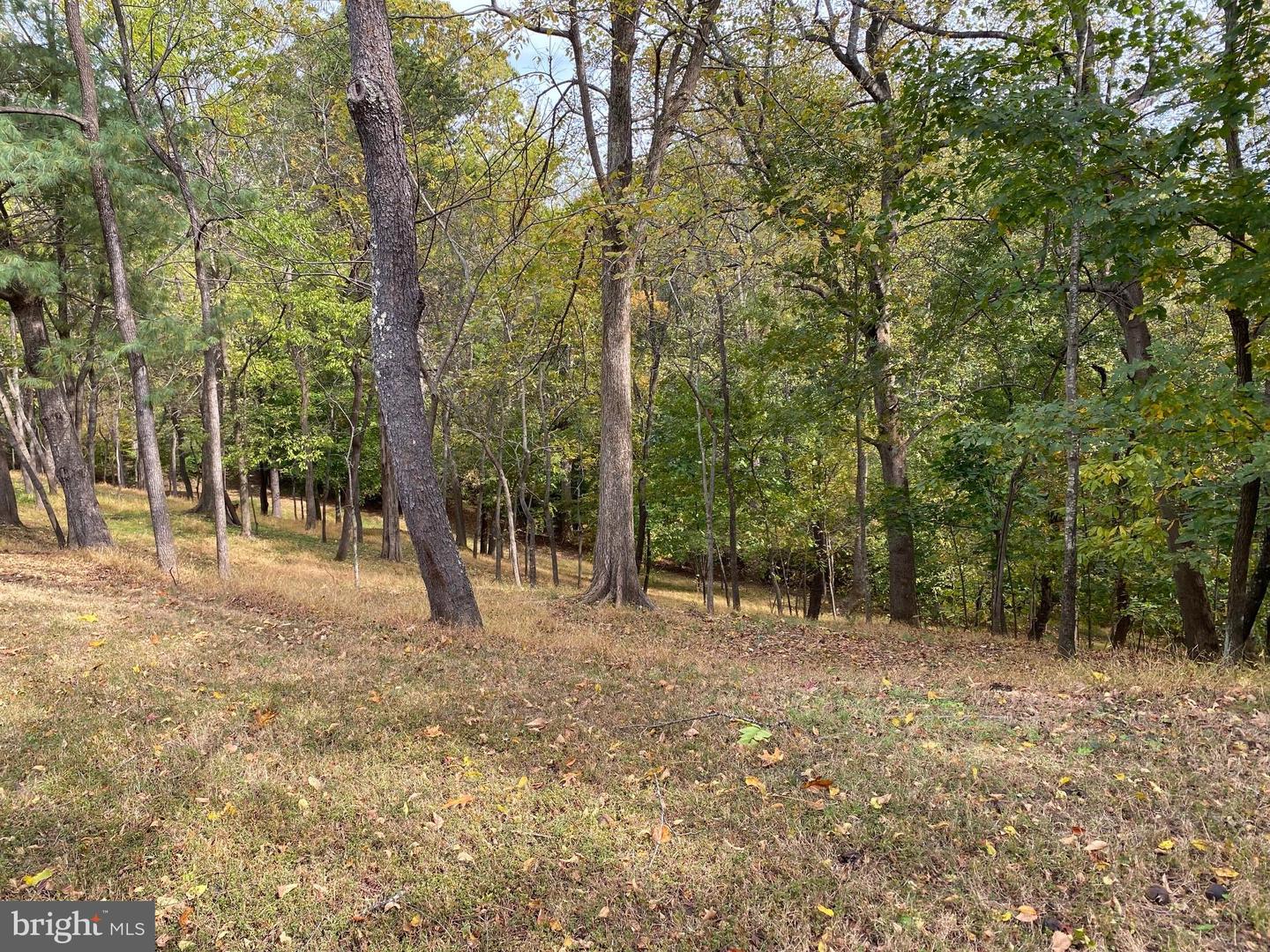 2202 BELVEDERE DR, KING GEORGE, Virginia 22485, ,Land,For sale,2202 BELVEDERE DR,VAKG2007528 MLS # VAKG2007528