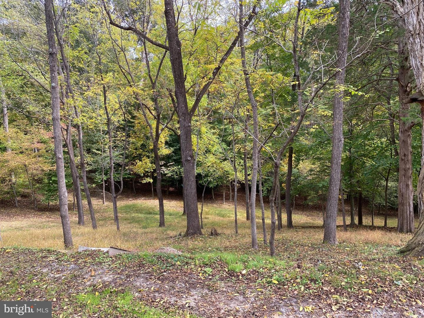 2202 BELVEDERE DR, KING GEORGE, Virginia 22485, ,Land,For sale,2202 BELVEDERE DR,VAKG2007528 MLS # VAKG2007528