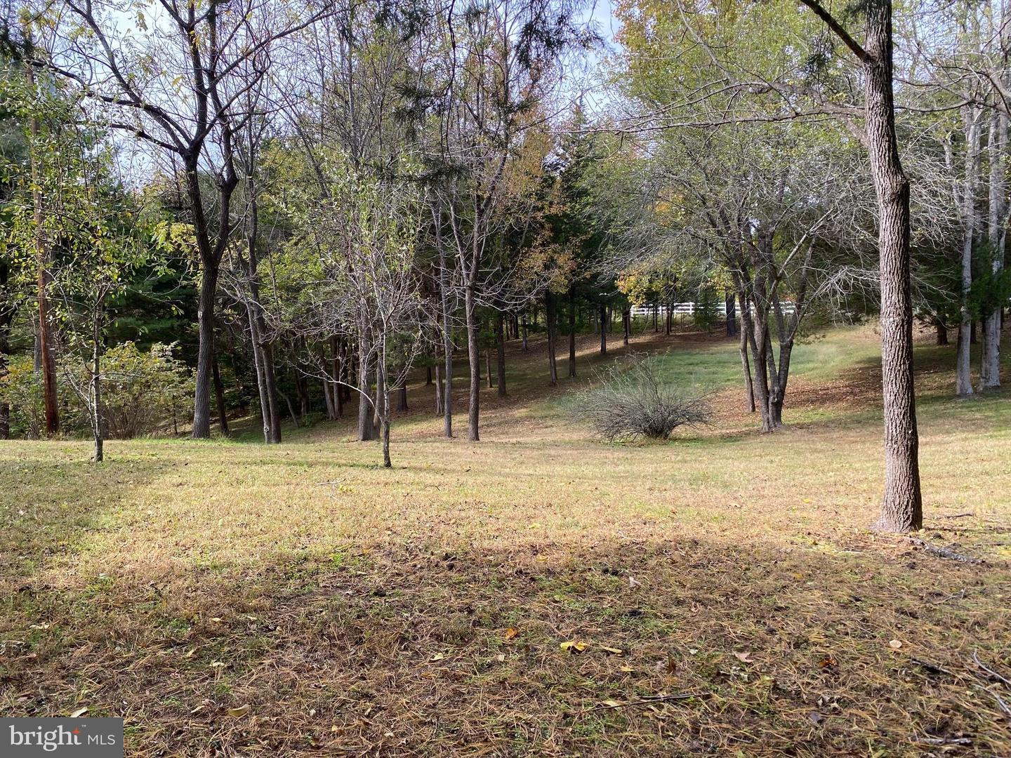 2202 BELVEDERE DR, KING GEORGE, Virginia 22485, ,Land,For sale,2202 BELVEDERE DR,VAKG2007528 MLS # VAKG2007528