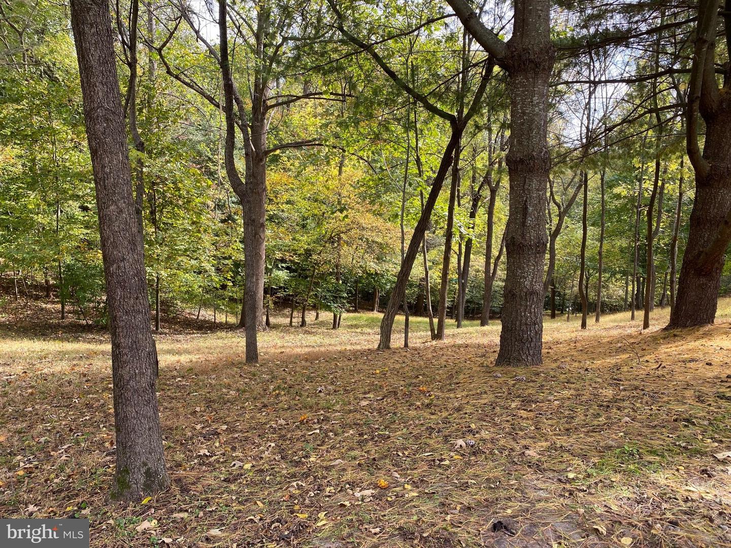 2202 BELVEDERE DR, KING GEORGE, Virginia 22485, ,Land,For sale,2202 BELVEDERE DR,VAKG2007528 MLS # VAKG2007528