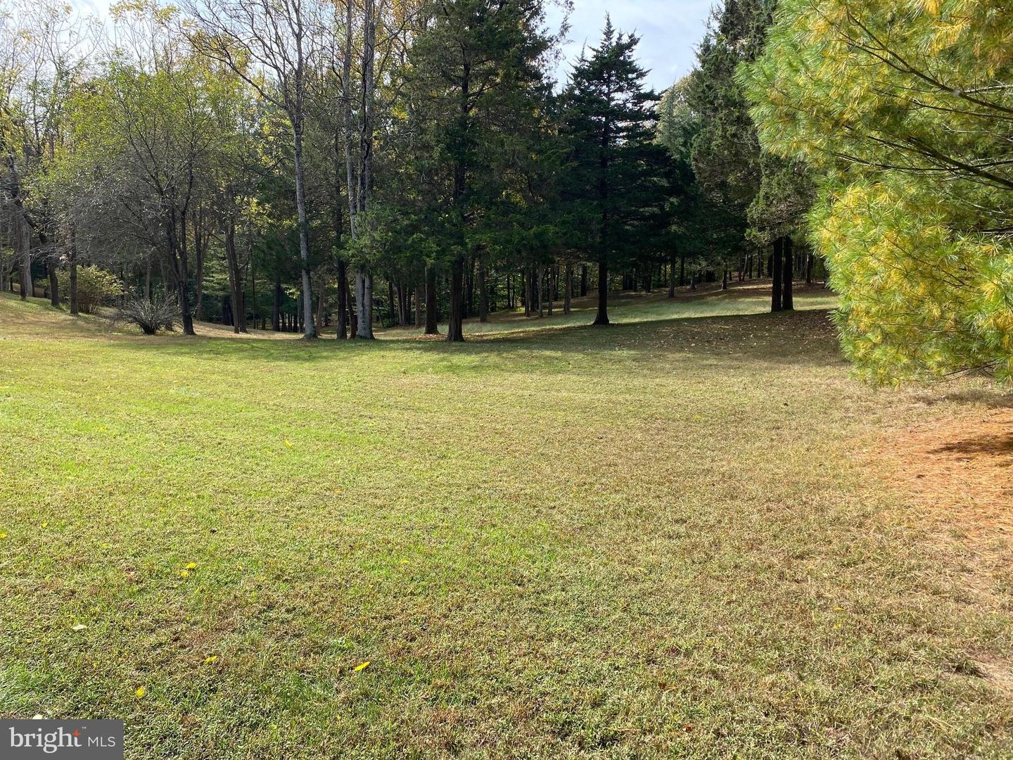 2202 BELVEDERE DR, KING GEORGE, Virginia 22485, ,Land,For sale,2202 BELVEDERE DR,VAKG2007528 MLS # VAKG2007528