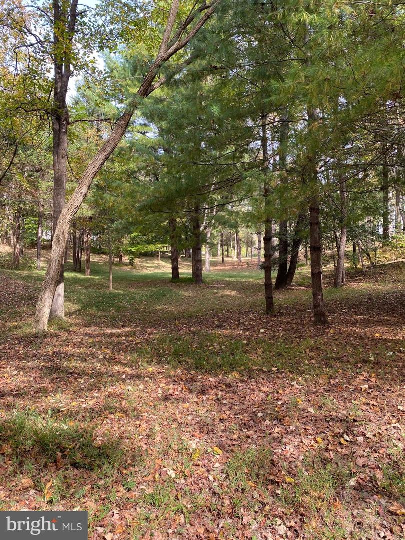 2202 BELVEDERE DR, KING GEORGE, Virginia 22485, ,Land,For sale,2202 BELVEDERE DR,VAKG2007528 MLS # VAKG2007528