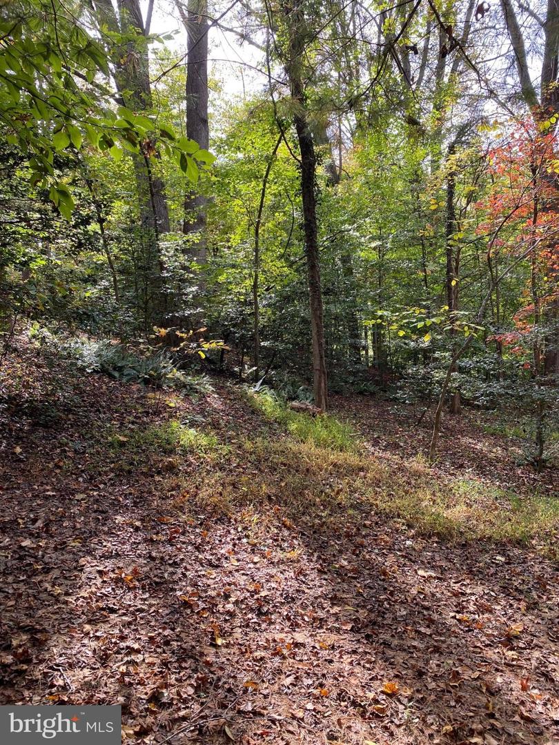 2202 BELVEDERE DR, KING GEORGE, Virginia 22485, ,Land,For sale,2202 BELVEDERE DR,VAKG2007528 MLS # VAKG2007528