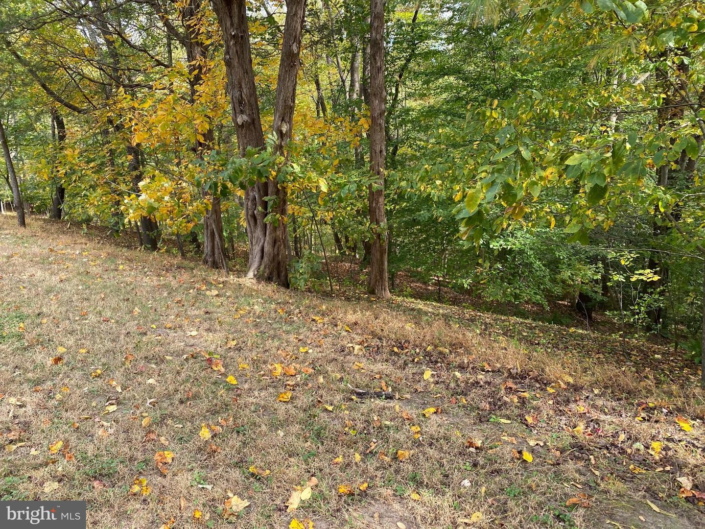 2202 BELVEDERE DR, KING GEORGE, Virginia 22485, 2 Bedrooms Bedrooms, 9 Rooms Rooms,1 BathroomBathrooms,Residential,For sale,2202 BELVEDERE DR,VAKG2007526 MLS # VAKG2007526