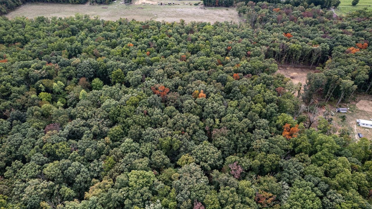 000 RICHLAND LN, GROTTOES, Virginia 24441, ,Land,000 RICHLAND LN,672593 MLS # 672593