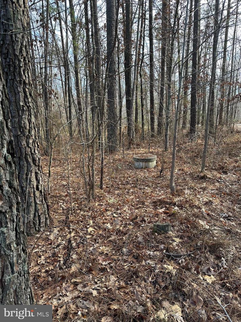 13319 W CATHARPIN RD, SPOTSYLVANIA, Virginia 22553, 2 Bedrooms Bedrooms, ,1 BathroomBathrooms,Residential,For sale,13319 W CATHARPIN RD,VASP2038648 MLS # VASP2038648