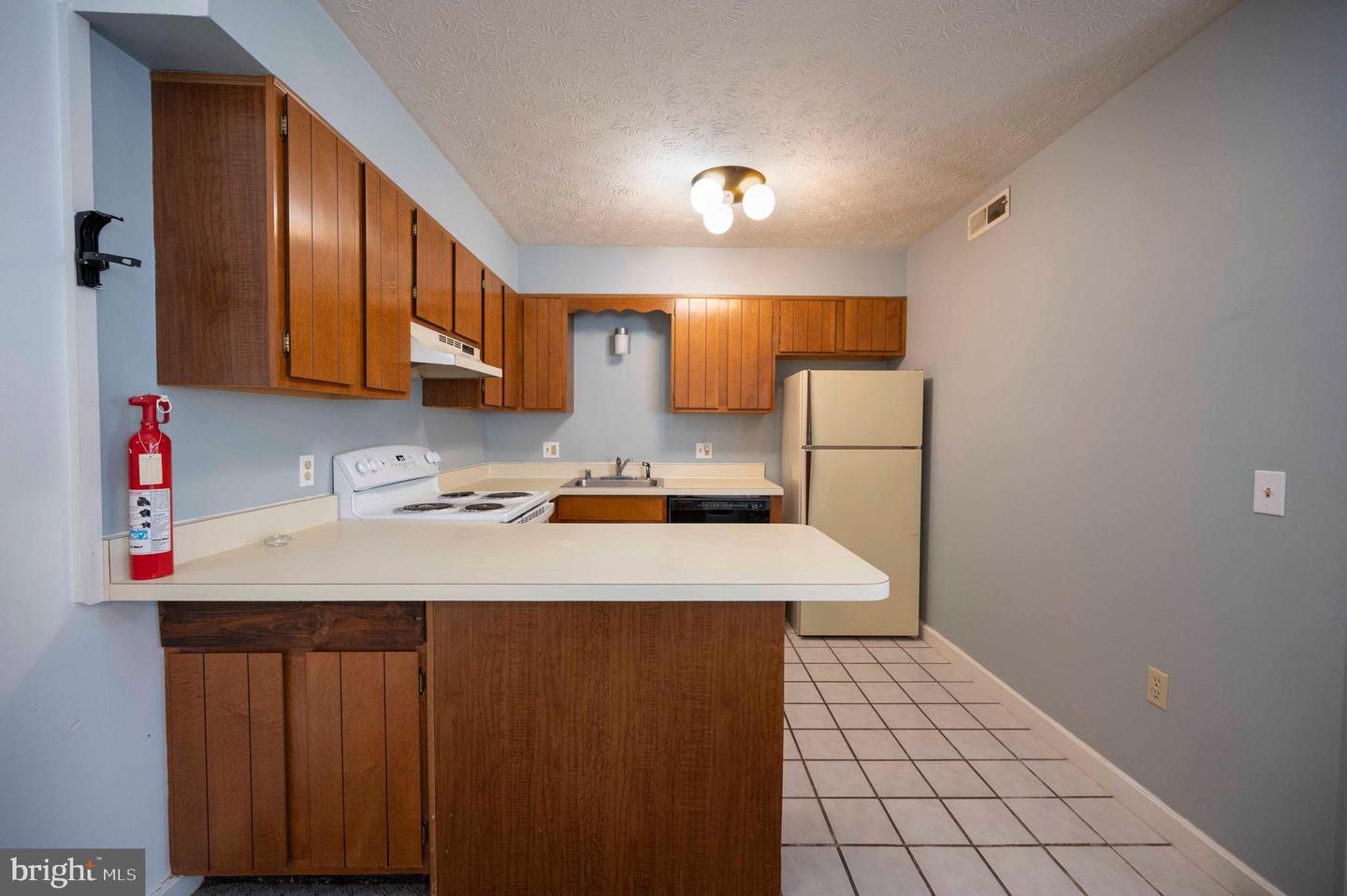 377 SPITZ #100 A&B, BASYE, Virginia 22810, 4 Bedrooms Bedrooms, 10 Rooms Rooms,4 BathroomsBathrooms,Residential,For sale,377 SPITZ #100 A&B,VASH2013396 MLS # VASH2013396