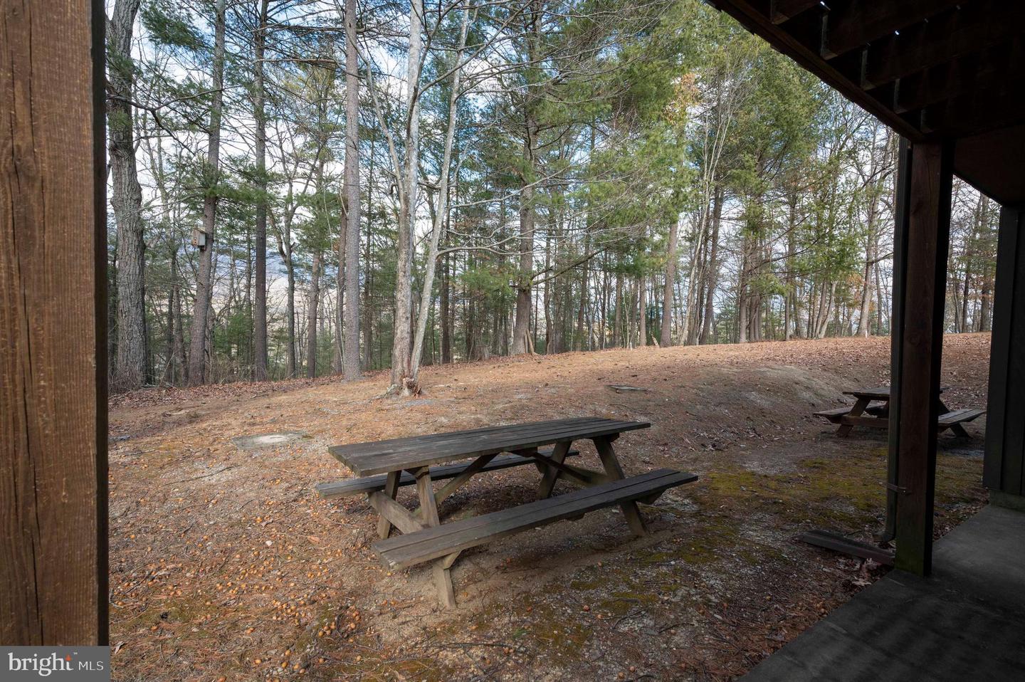 377 SPITZ #100 A&B, BASYE, Virginia 22810, 4 Bedrooms Bedrooms, 10 Rooms Rooms,4 BathroomsBathrooms,Residential,For sale,377 SPITZ #100 A&B,VASH2013396 MLS # VASH2013396